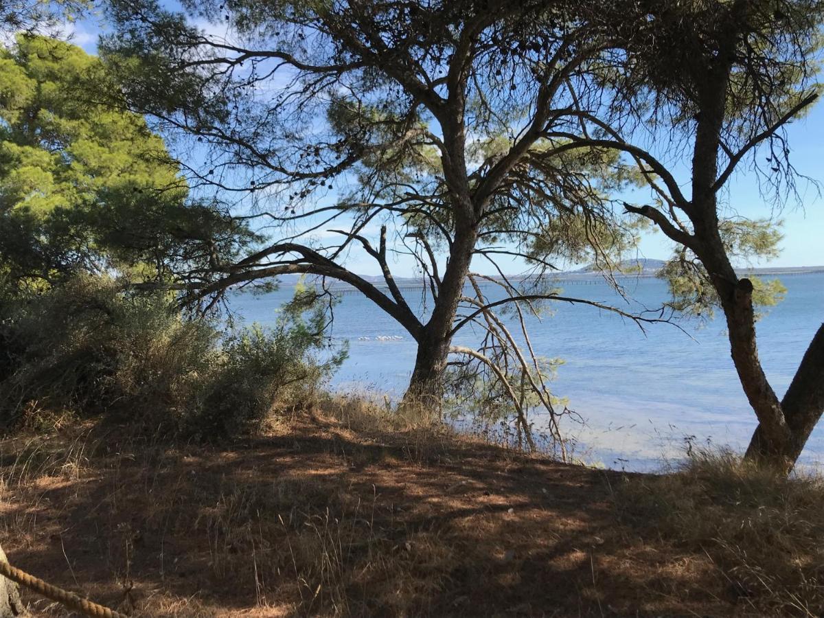 Bed and Breakfast Au Bord De Thau Marseillan  Esterno foto