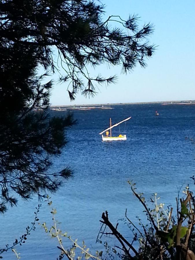 Bed and Breakfast Au Bord De Thau Marseillan  Esterno foto