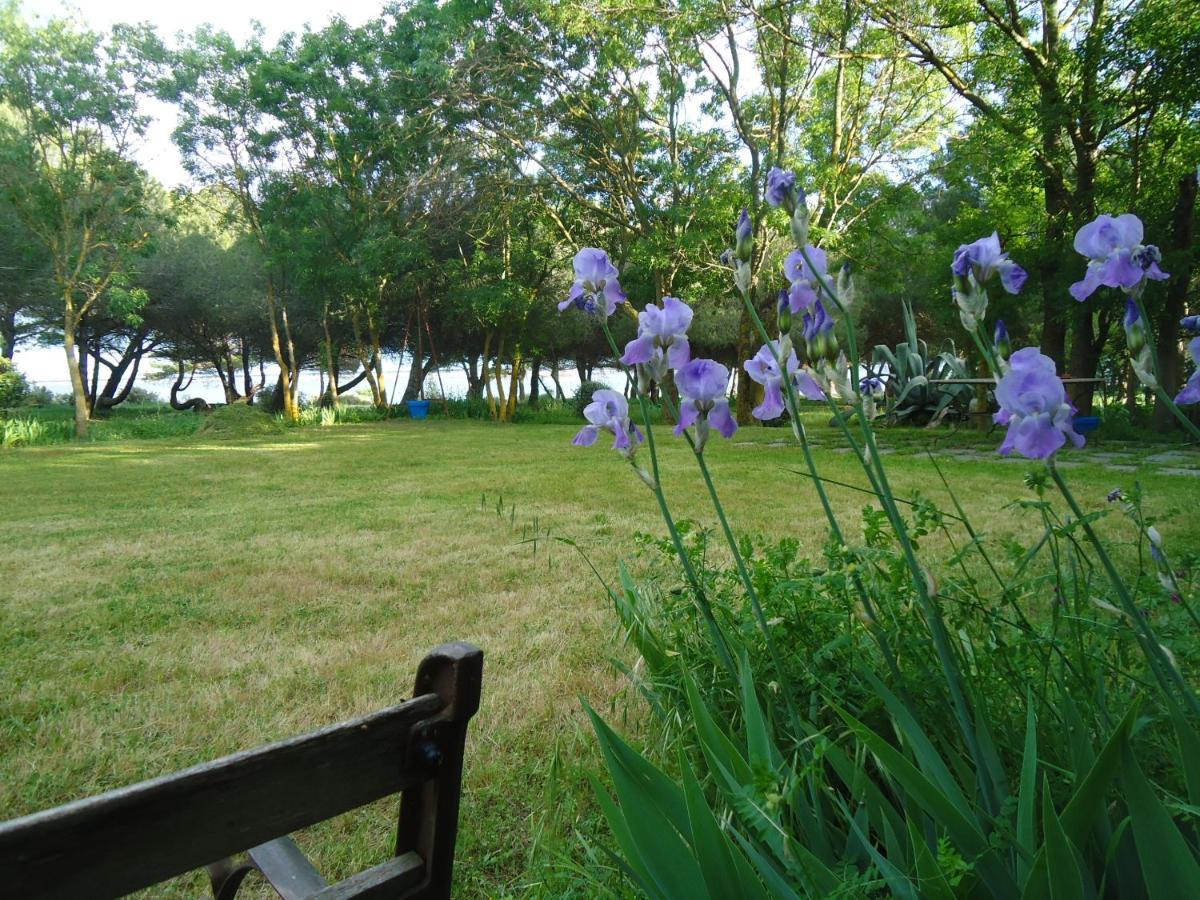 Bed and Breakfast Au Bord De Thau Marseillan  Esterno foto