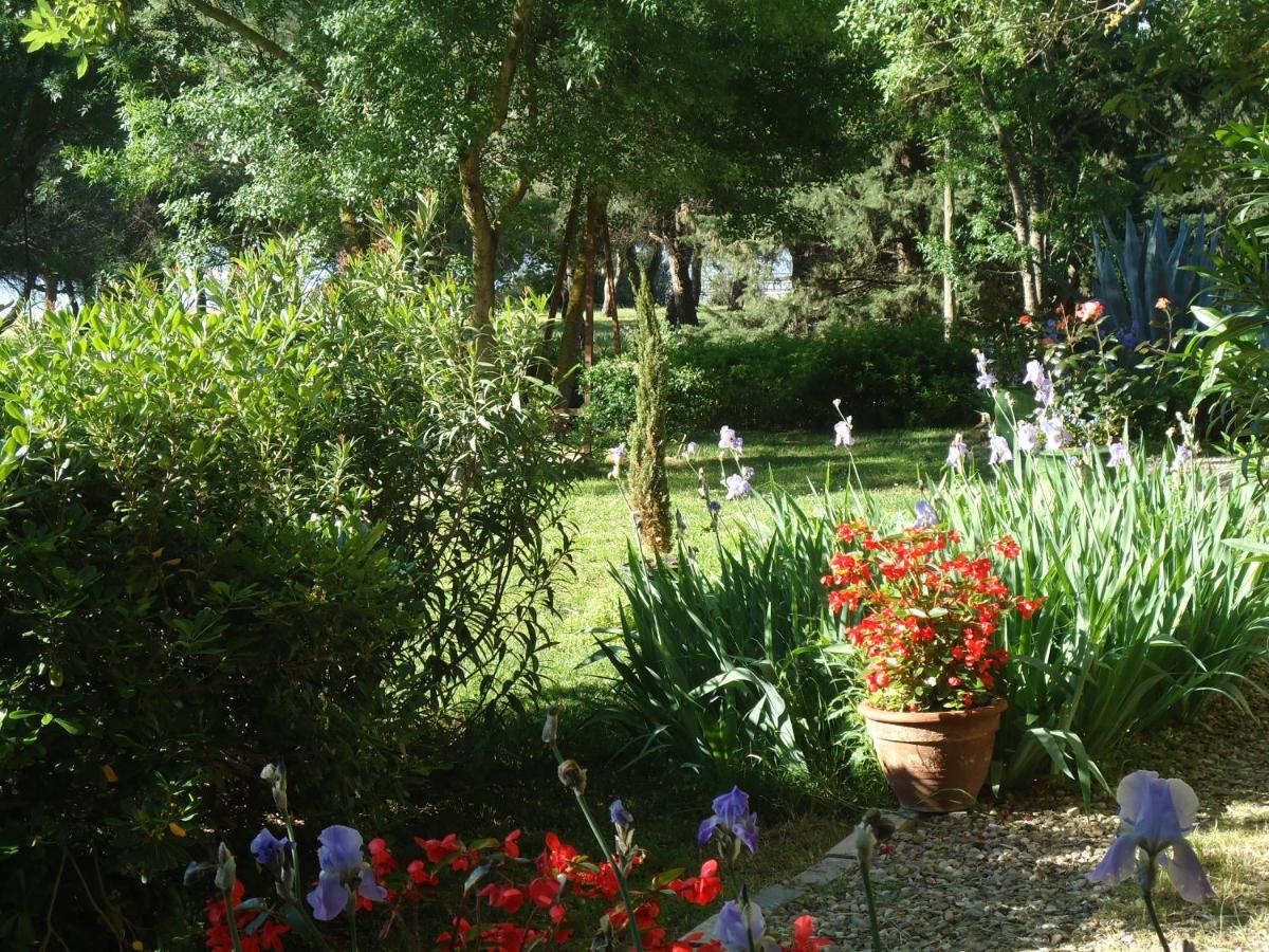 Bed and Breakfast Au Bord De Thau Marseillan  Esterno foto