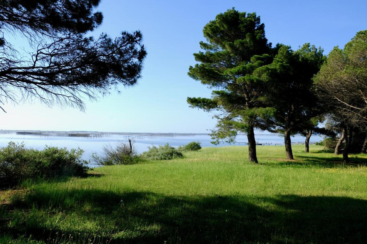 Bed and Breakfast Au Bord De Thau Marseillan  Esterno foto