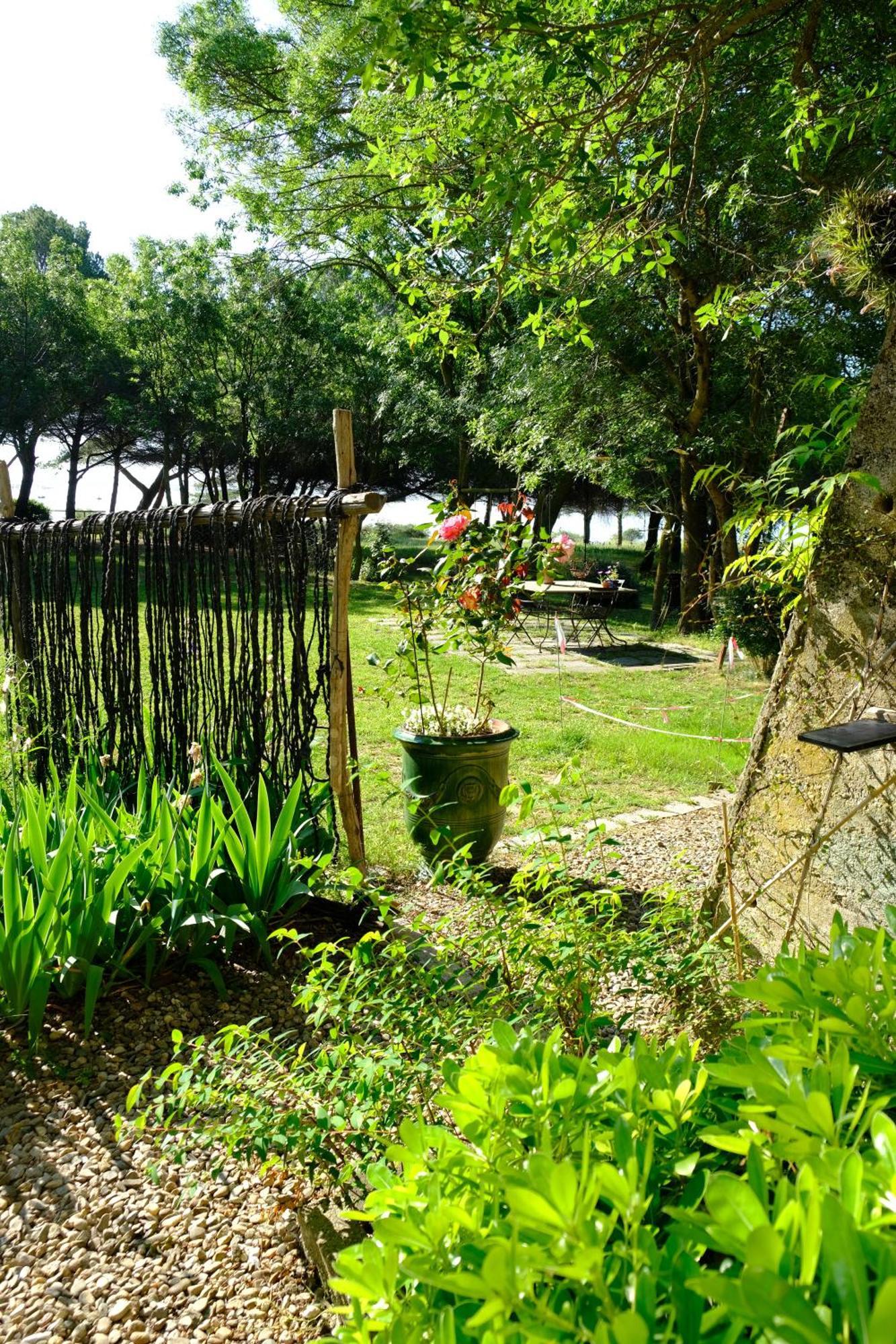 Bed and Breakfast Au Bord De Thau Marseillan  Esterno foto