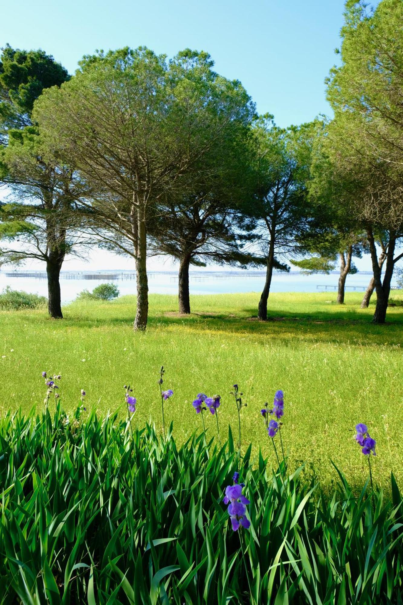 Bed and Breakfast Au Bord De Thau Marseillan  Esterno foto