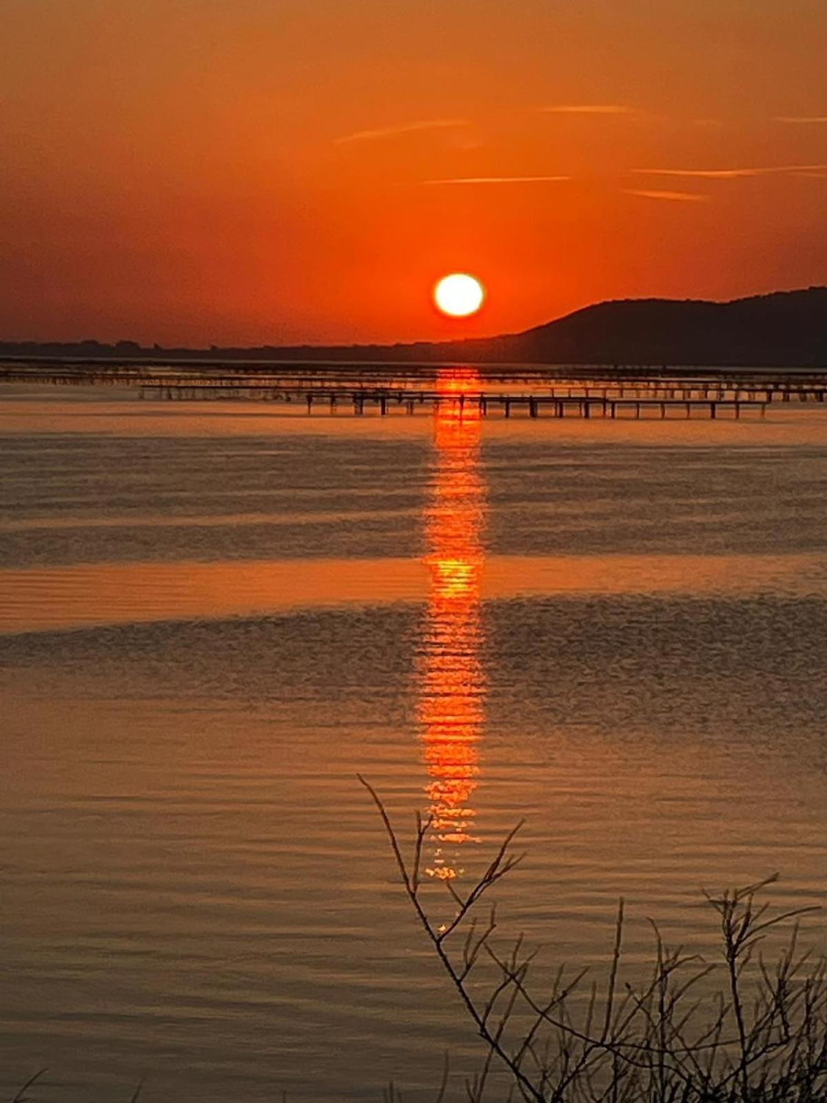 Bed and Breakfast Au Bord De Thau Marseillan  Esterno foto